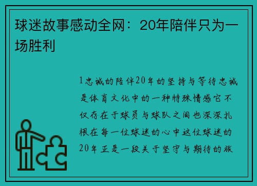 球迷故事感动全网：20年陪伴只为一场胜利